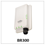 BR300